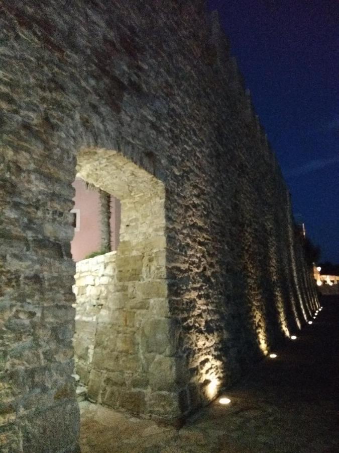 Apartments Edo Novigrad  ภายนอก รูปภาพ