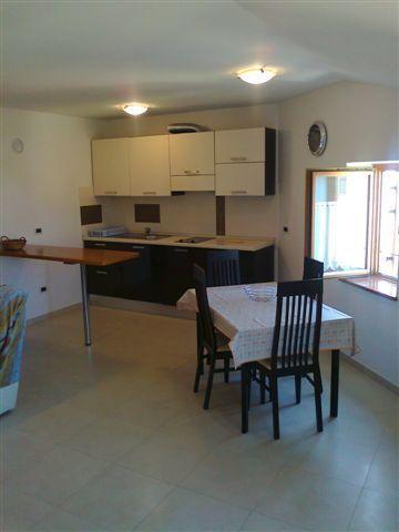 Apartments Edo Novigrad  ภายนอก รูปภาพ